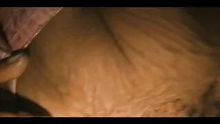 கணவரின் ஹார்னி மாம்ஸல் ரைடிங் ஃபாலஸ் வீட்டில் குடும்ப செக்ஸ்