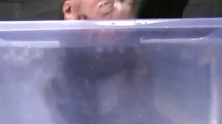 நாக்கு மற்றும் fucked இந்த அழகான வீட்டில் hd ஆபாச நாள் கொம்பு மீது